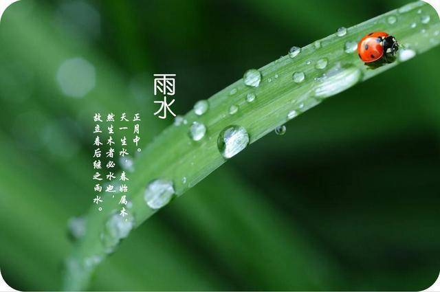 雨水还象征着生命的延续和成长.
