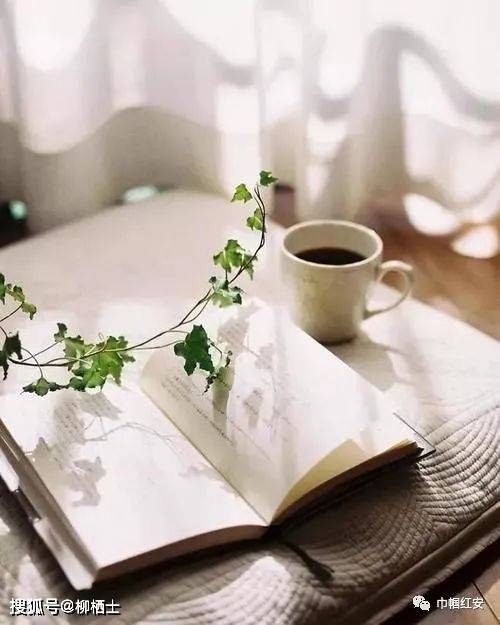 努力提升自己，比仰望别人更有意义