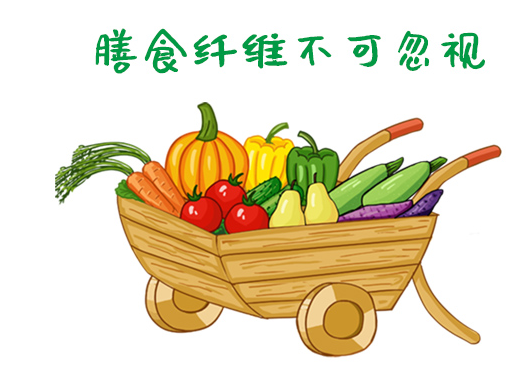 膳食_纤维_人体