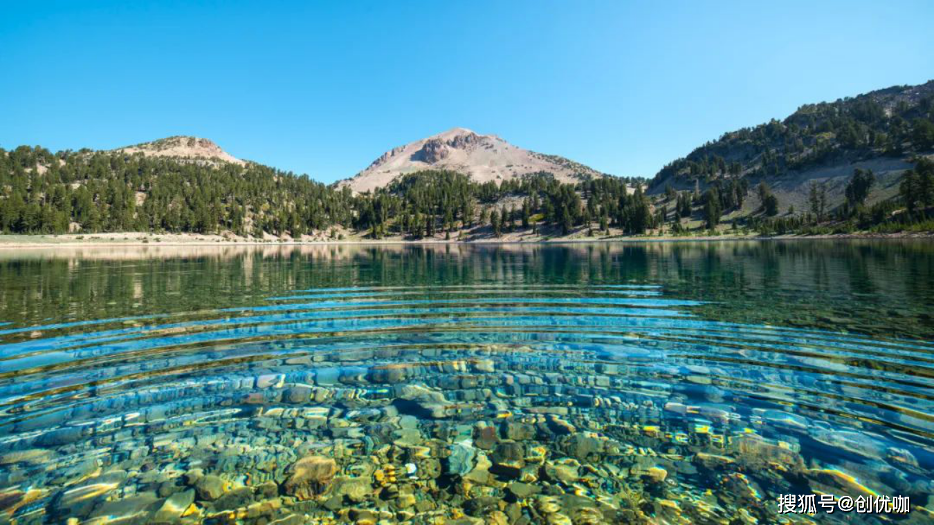 2024上半年,努力终有回报,好运连连,事业辉煌的4个生肖_因为_时期