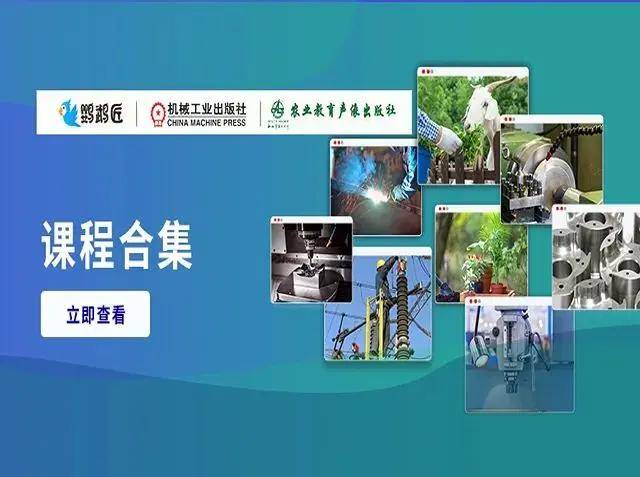 鹦鹉匠是干啥的？