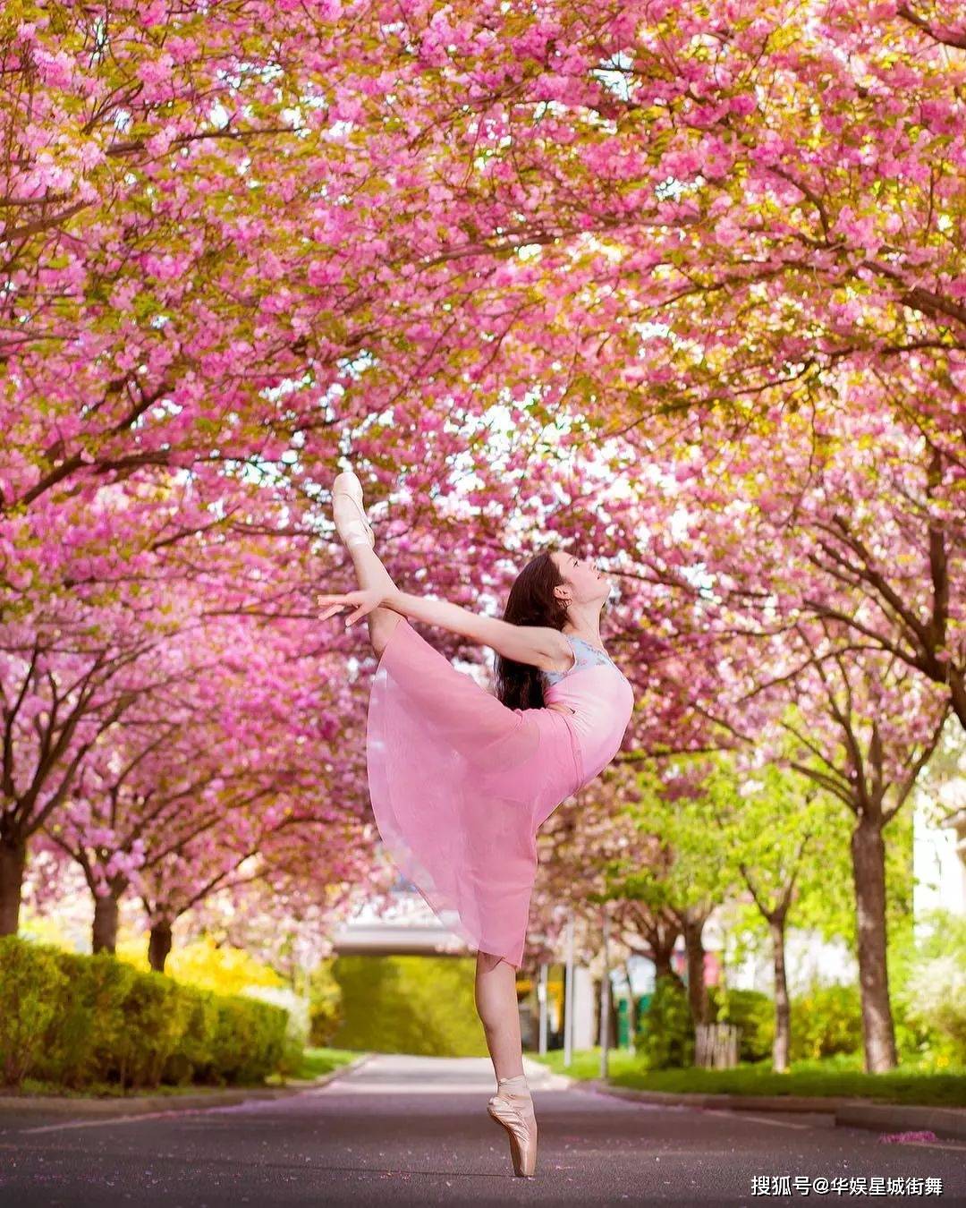 特别后悔为什么不从小学舞蹈_桃花_美人_春光