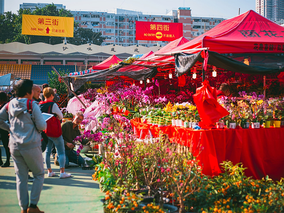 花車巡遊,維港煙花,新春花市……去香港邂逅不一樣的