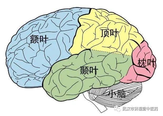 继发性癫痫24小时动态脑电图可以确诊吗?_诊断_治疗_患者