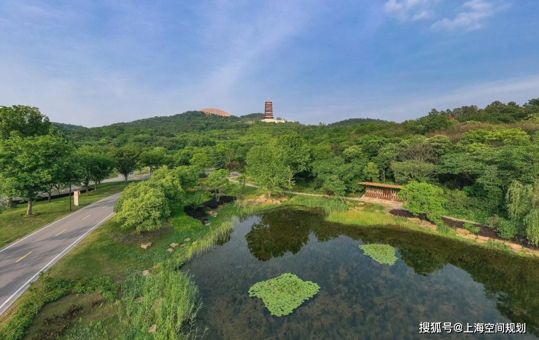 层林尽染的牛首山,赏如梦的秋,品如画的景!_旅游_文化_新景观