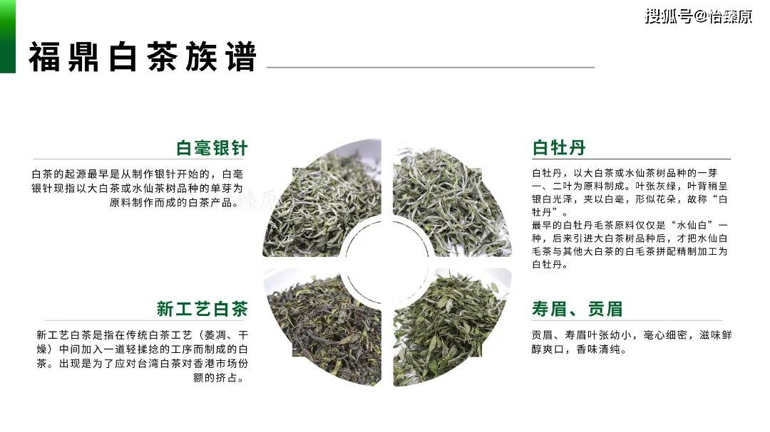 揭秘福鼎白茶的"物质转化"现象,越存越香的原因何在?