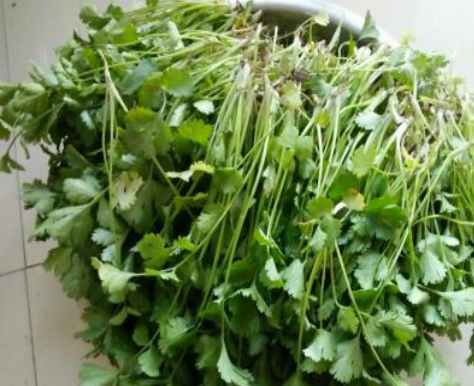 脚气之类的人都是不适合大量的吃香菜的,越吃症状就会越严重