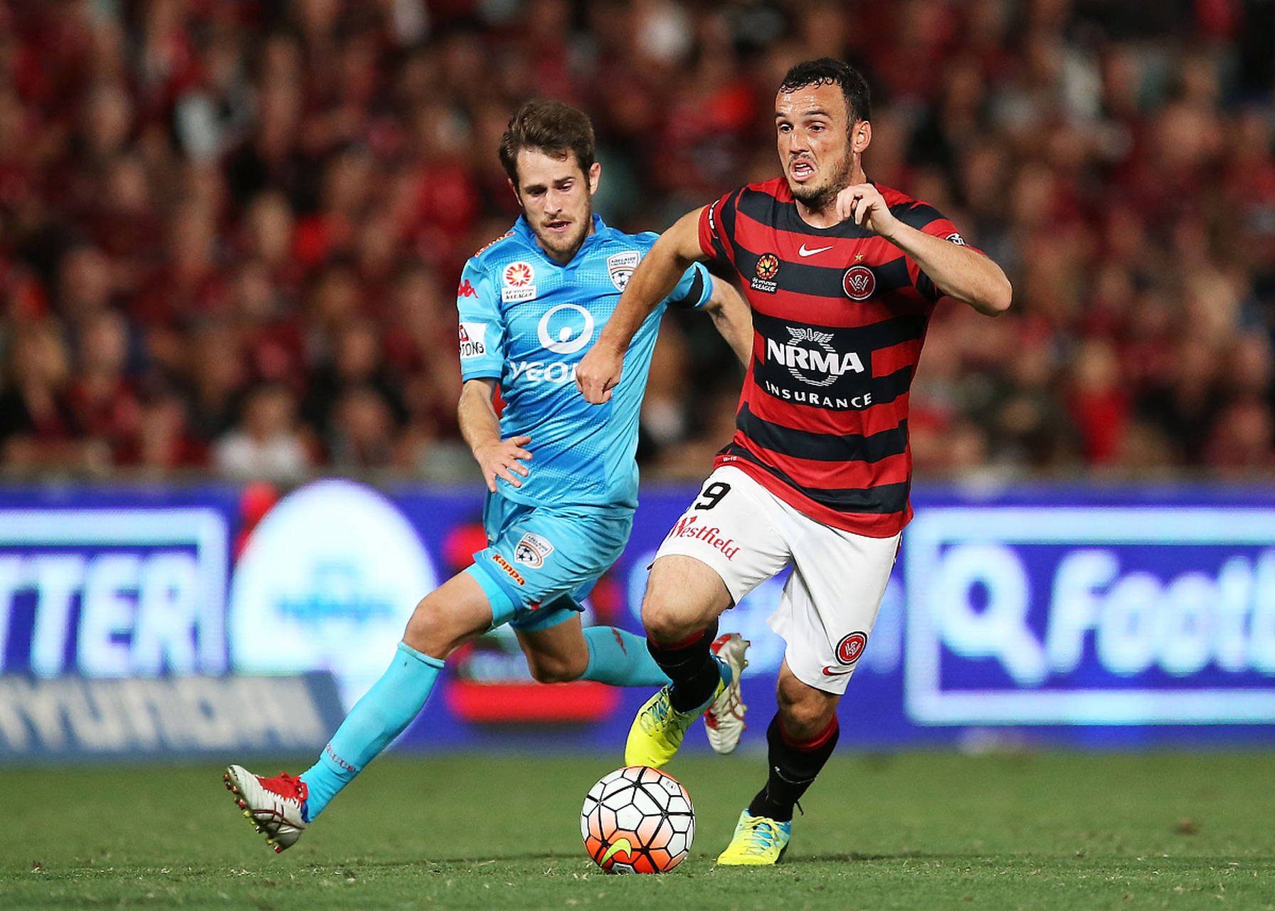 澳超 墨尔本城 vs 阿德莱德_联赛_阿德莱德联_比赛