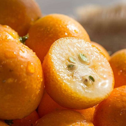 金桔_的作用_食材