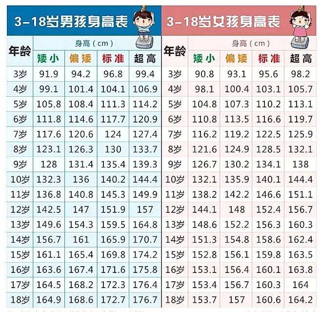 17岁正常身高图片