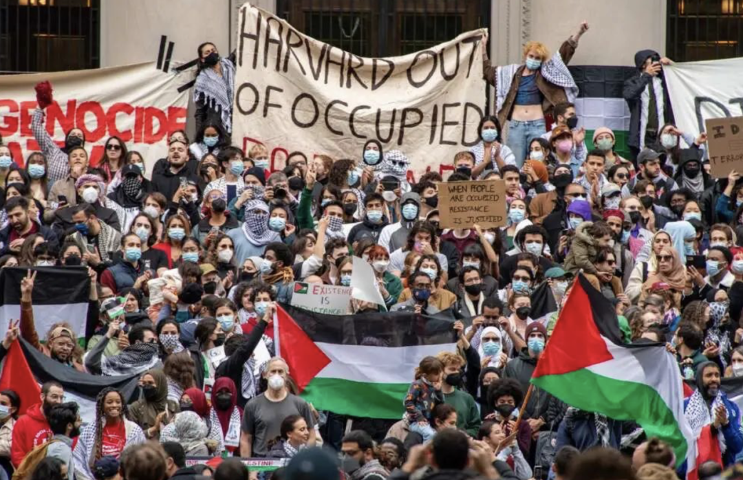 哈佛校长事件余波:藤校危机,录取率上升,近年是冲顶校的好时机吗_美国