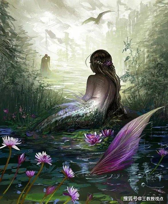 美人鱼与海洋生态:共舞碧波的传奇