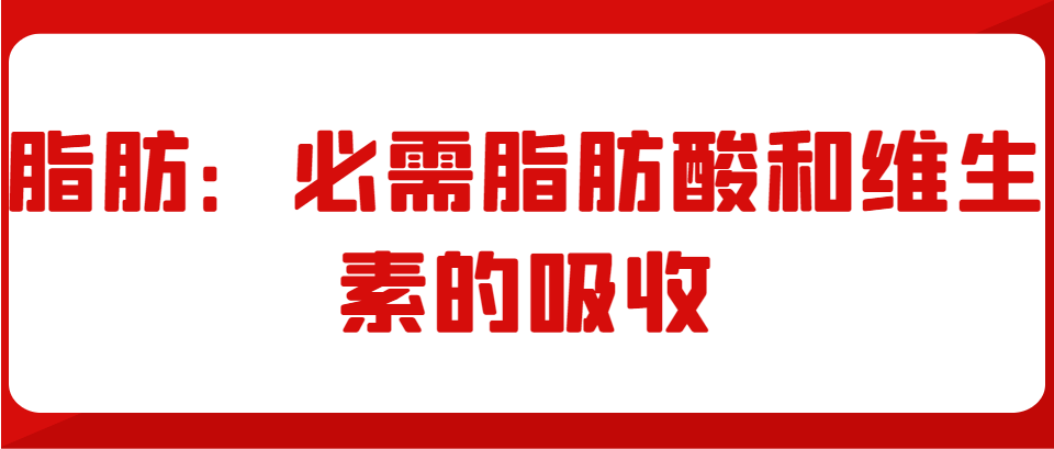 平衡飲食的七大營養素攝入建議_脂肪_攝入量_維生素