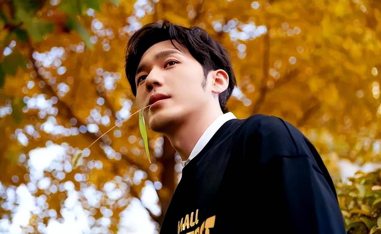 母亲是著名演员父亲上亿家产,他却跑龙套10年33岁终成实力派_白宇