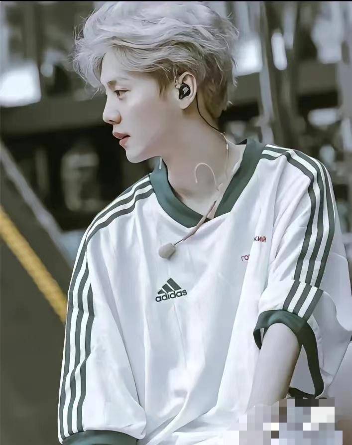 揭秘鹿晗的资产:京圈少爷的背后真相_王思聪_背景_艺术