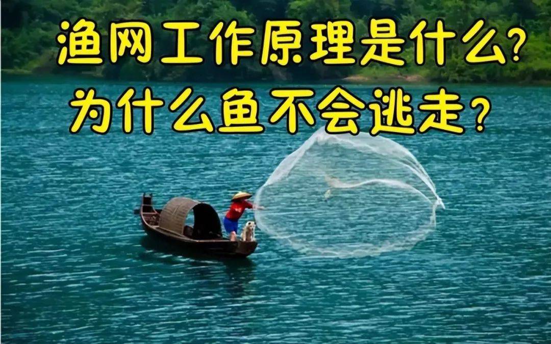 大海渔网捕鱼原理图片