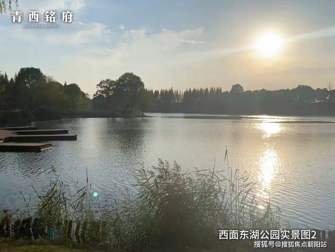 東沙湖公園露營實景圖項目由國企杭州大江東地產開發有限公司出品,從