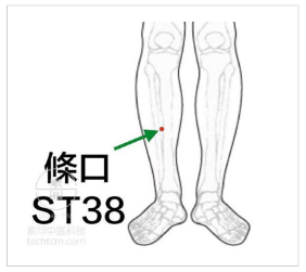 腳跟痛:承山,僕參,水泉(對側)35.