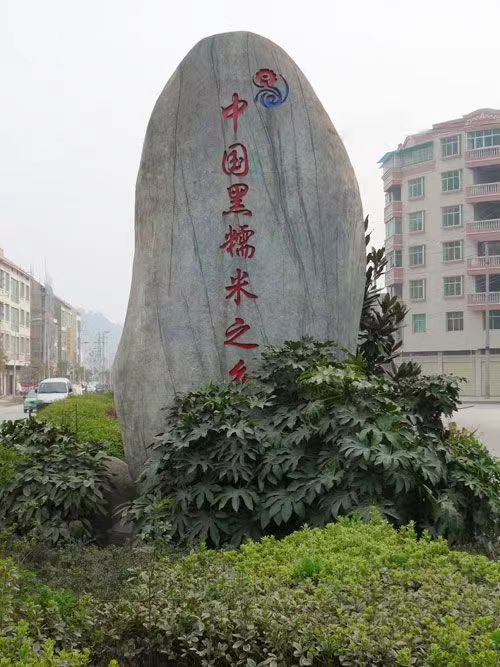 贵州高度有茅台,低度有帝见——26度纯粮帝见黑糯米酒_惠水_工艺_检测