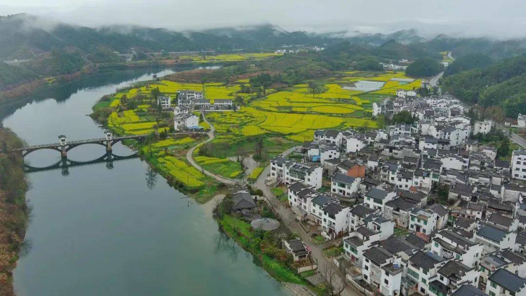 龙池汰,星江山水画廊,查平坦,察关,岭脚油菜花摄影团_费用_田园_风光