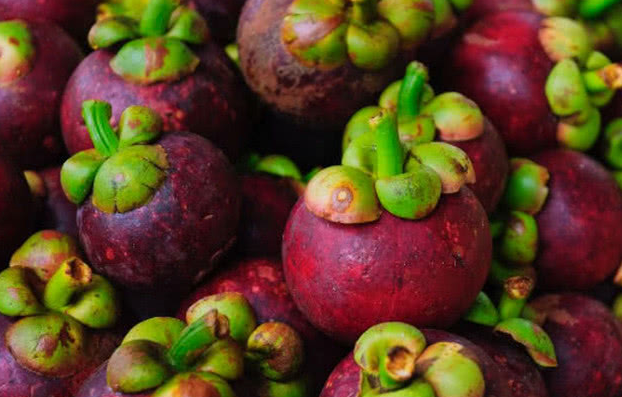 这种水果营养丰富,被称为水果中的"贵族",可惜皮厚肉少_山竹_价格