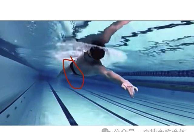 自由泳为何要转体?角度适可而止,过犹不及.