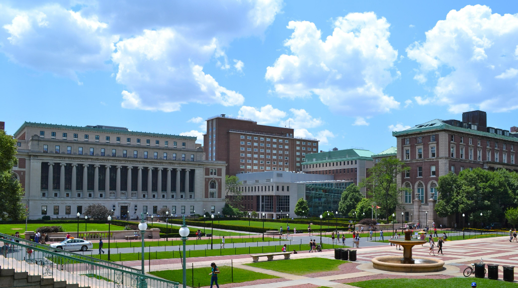 通常包括大学本科部,研究生院,商学院,法学院,医学院等,大部分专业都