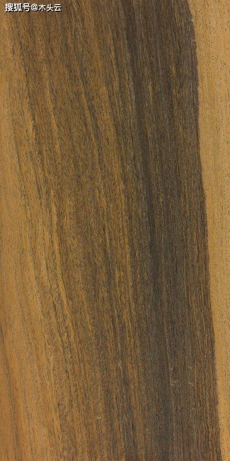 产于非洲地区,心材的种颜色有粉红色到深红棕色不等,带有深紫色或黑色