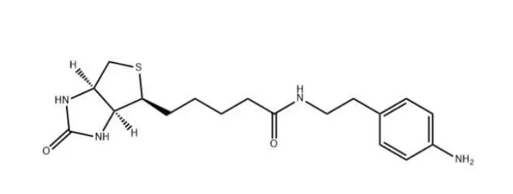 769933-15-5,biotin aniline,用來標記和檢測細胞膜上