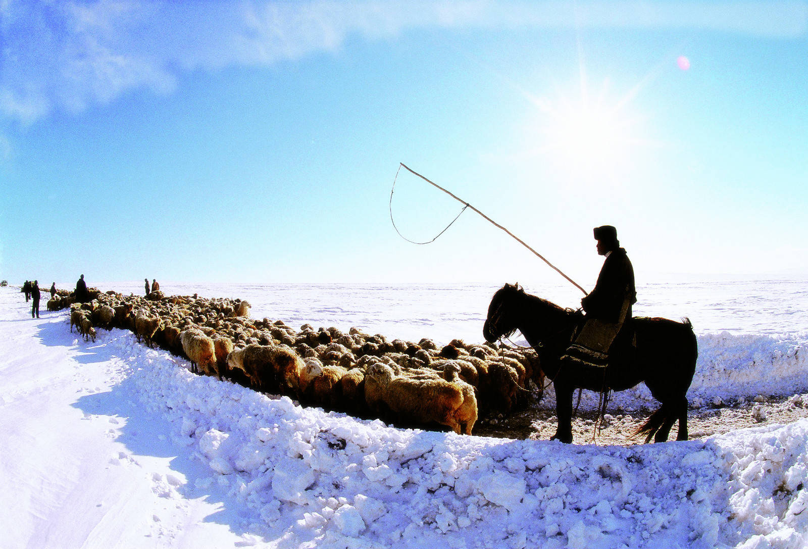 总的来说,《冬牧场》不仅是一本关于哈萨克牧民冬季生活的纪实作品,更