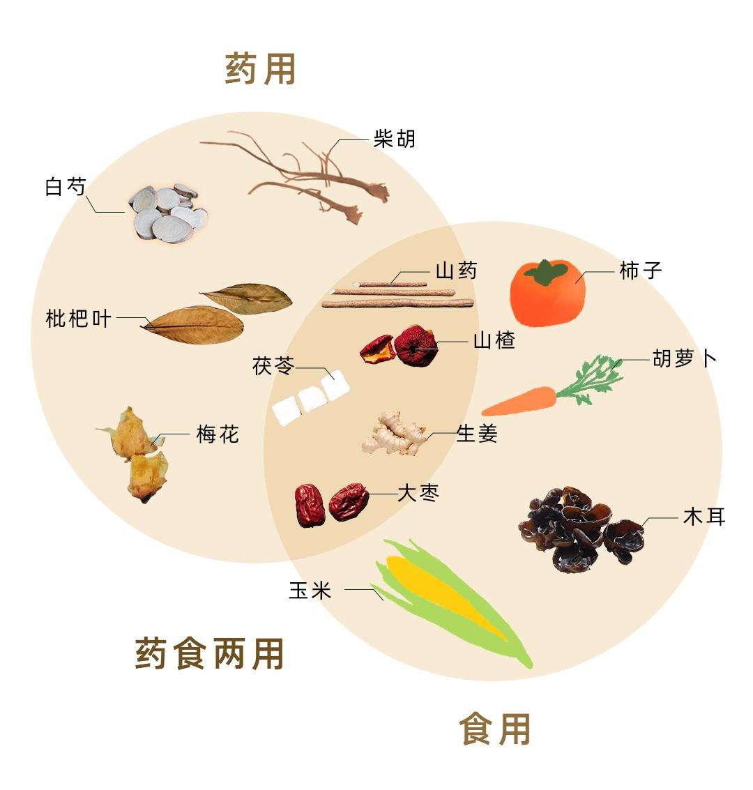 舌尖上的养生——药食同源