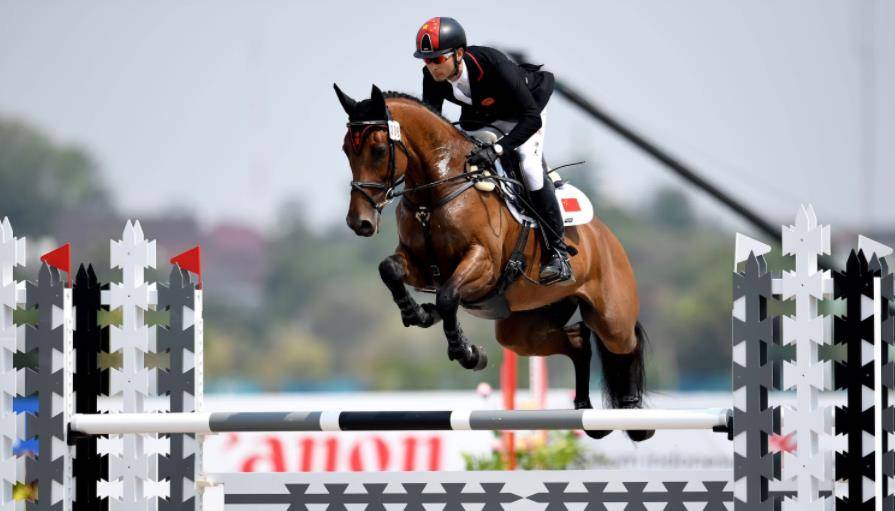 华天:生在英国,却加入中国国籍,一人一马,为国征战东京奥运会_马术