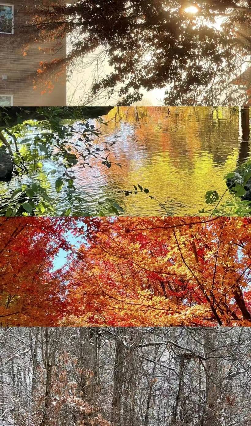 2024上海维瓦尔第与皮亚佐拉视听音乐会:用一支曲,描摹四季!