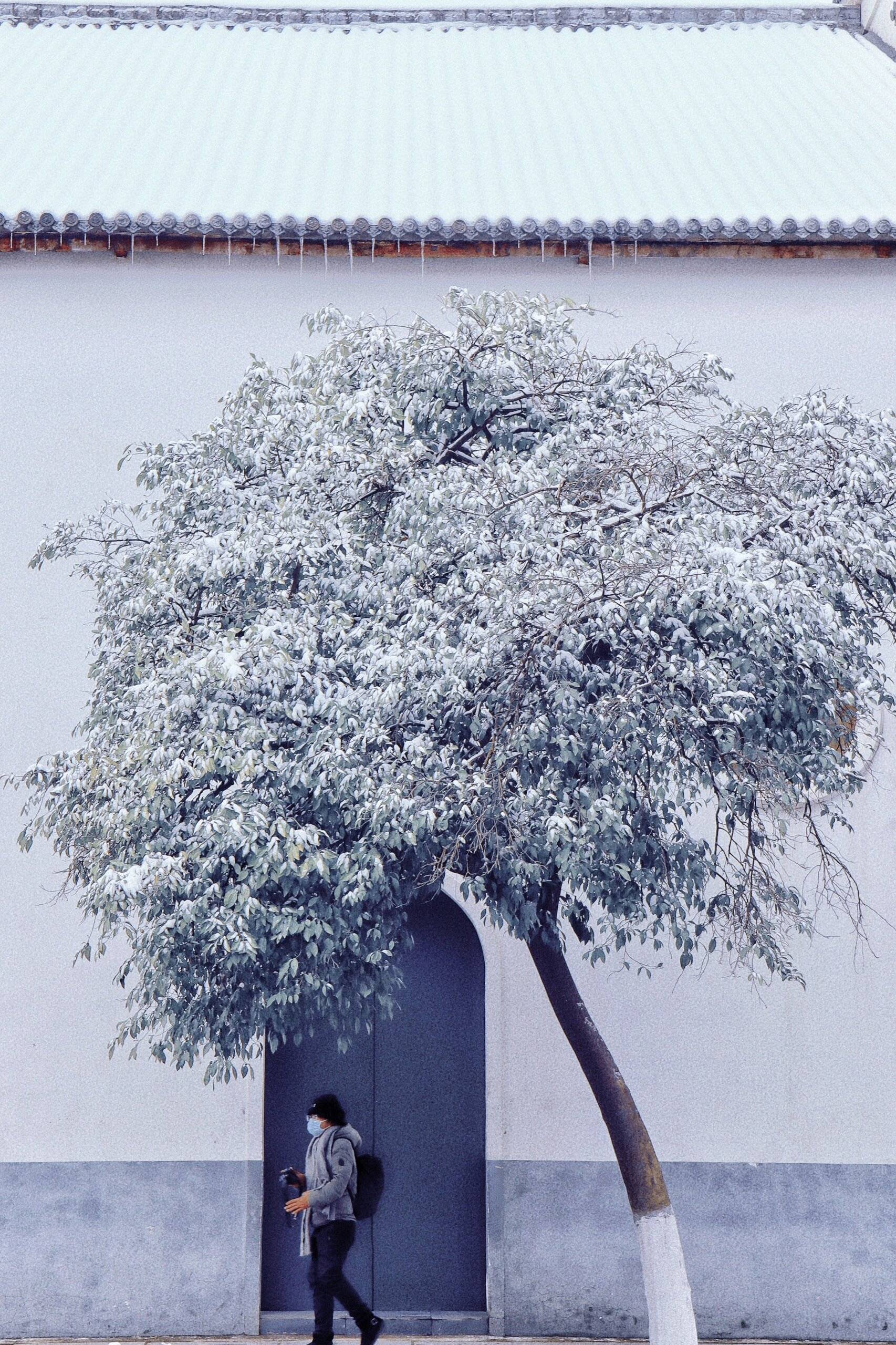 武汉雪后的古德寺️ 像极了霍格沃茨