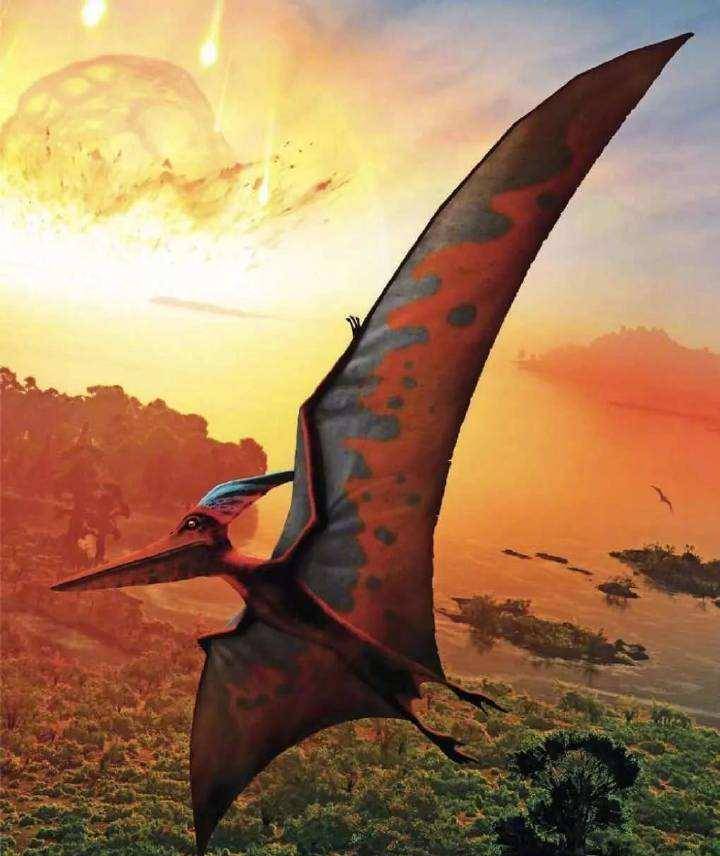 1864年美国士兵抓到只翼龙,张开翅膀宽16米还留下合影,是否为真?