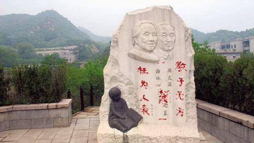 当年在冰心墓碑上写"教子无方,枉为人表"的亲孙子,后来怎样了