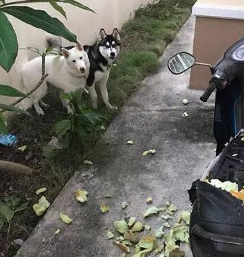 搞笑图片段子:听说你想拿我泡酒_熊孩子_老婆_老公