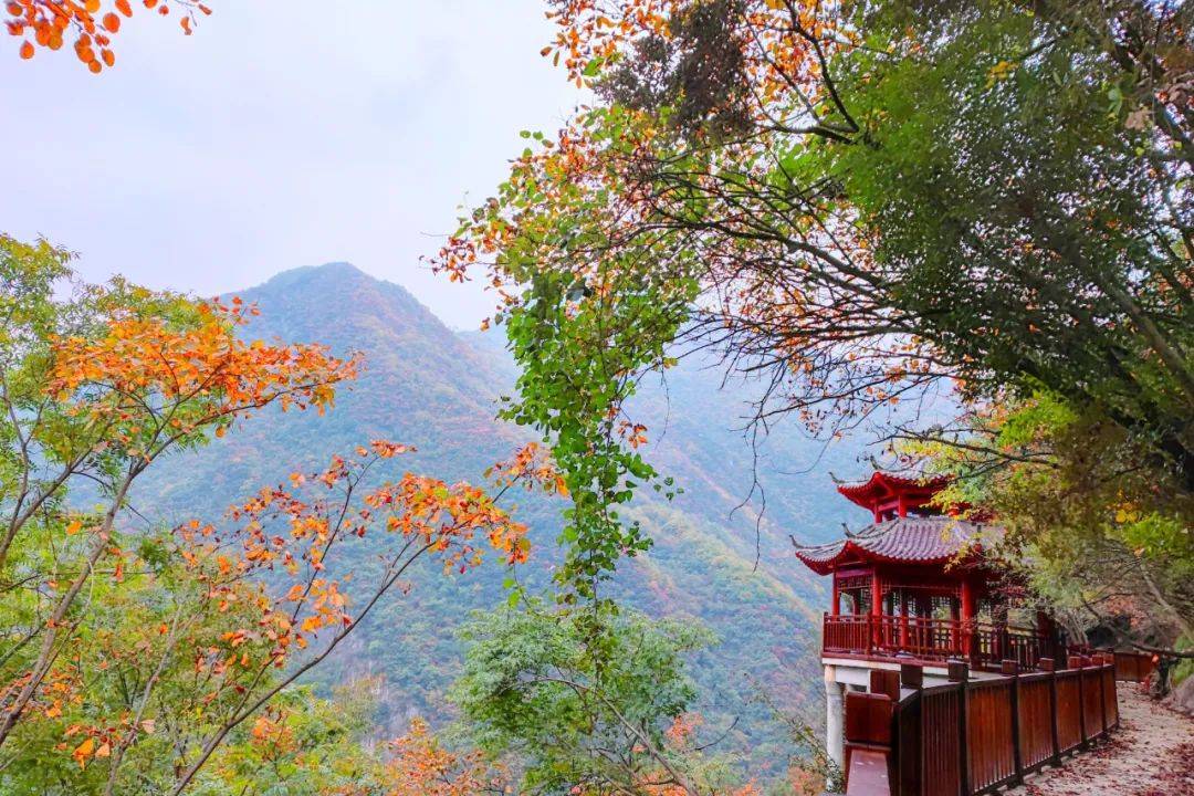 今年春节期间,略阳县特别推出春节系列文化旅游活动,大家快来一起和