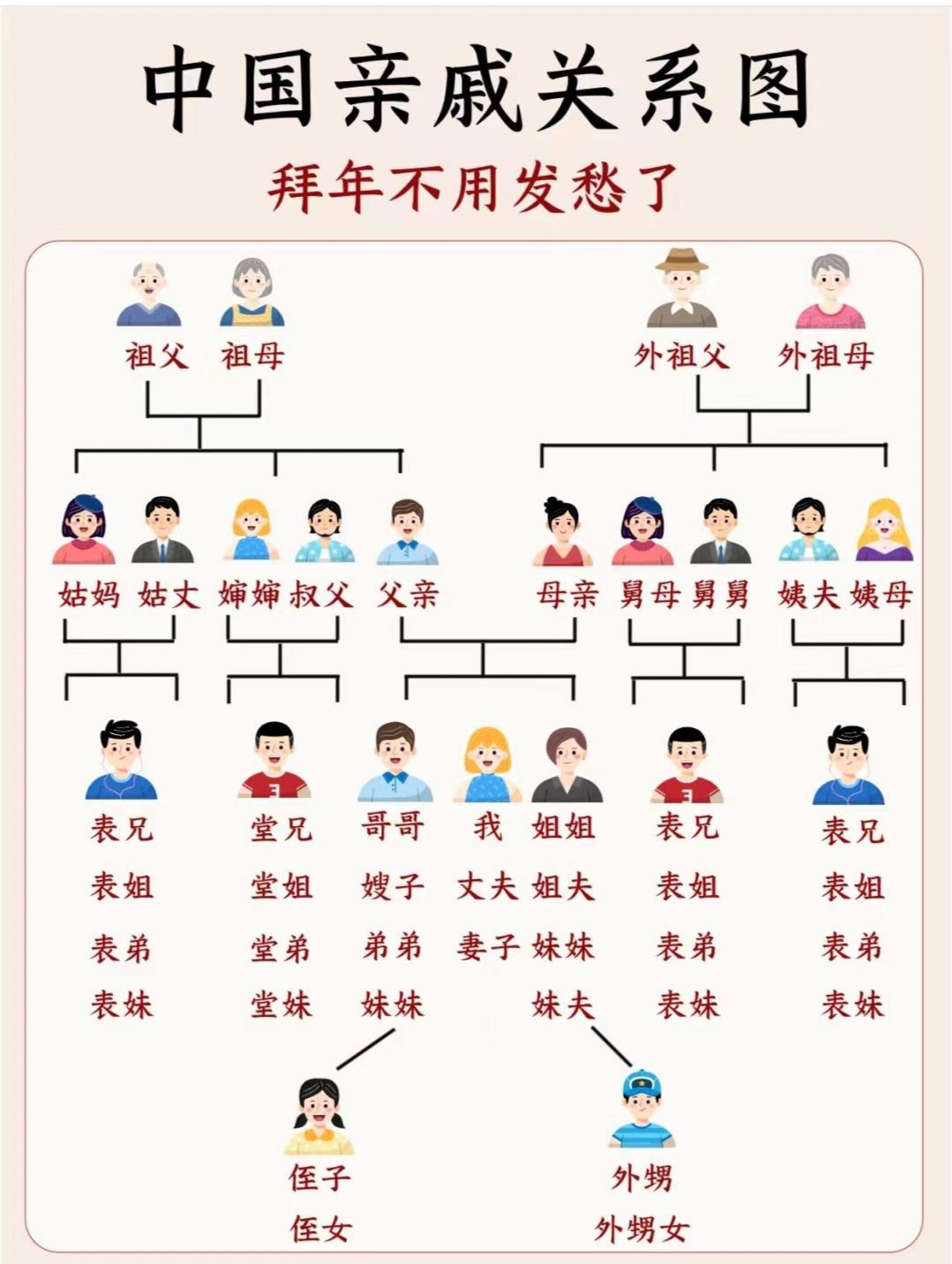 小学家长快来看 中国亲戚关系图