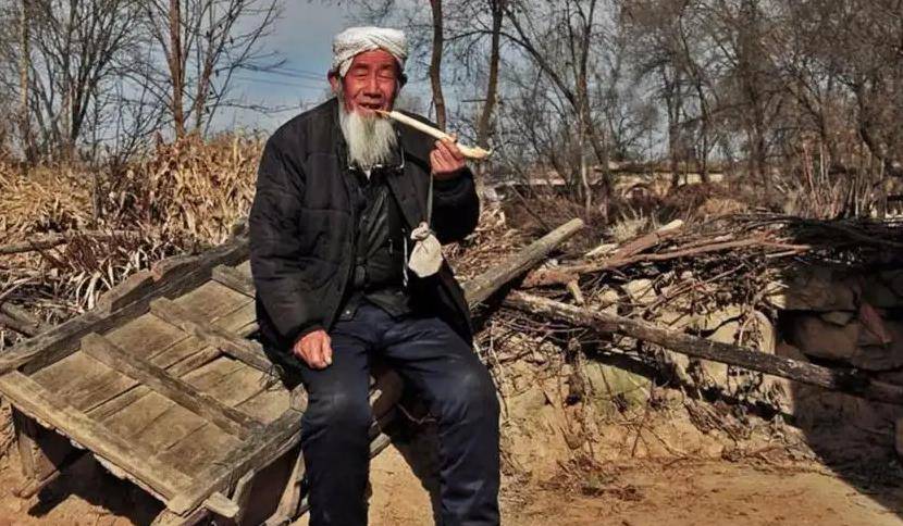 梁三_宝娃_杨小莲