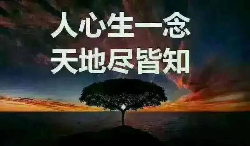 提问——人活着,到底什么是真?什么是假?_生活_社会_国家