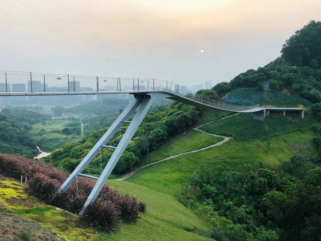港人打卡光明最钟意哪里?我们"港"你知_虹桥_游客_田园