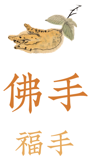 林曦的画|岁暮之时,以14张清供画,祝你清瑞嘉吉_佛手