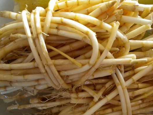 有的东西,可以从春天吃到冬天,给了我一个完整的童年_味道_季节_茅草