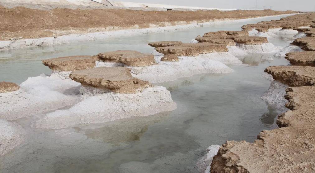 作物的根茎,让农作物茁壮成长,如果农作物在生长的过程中,缺少了钾矿