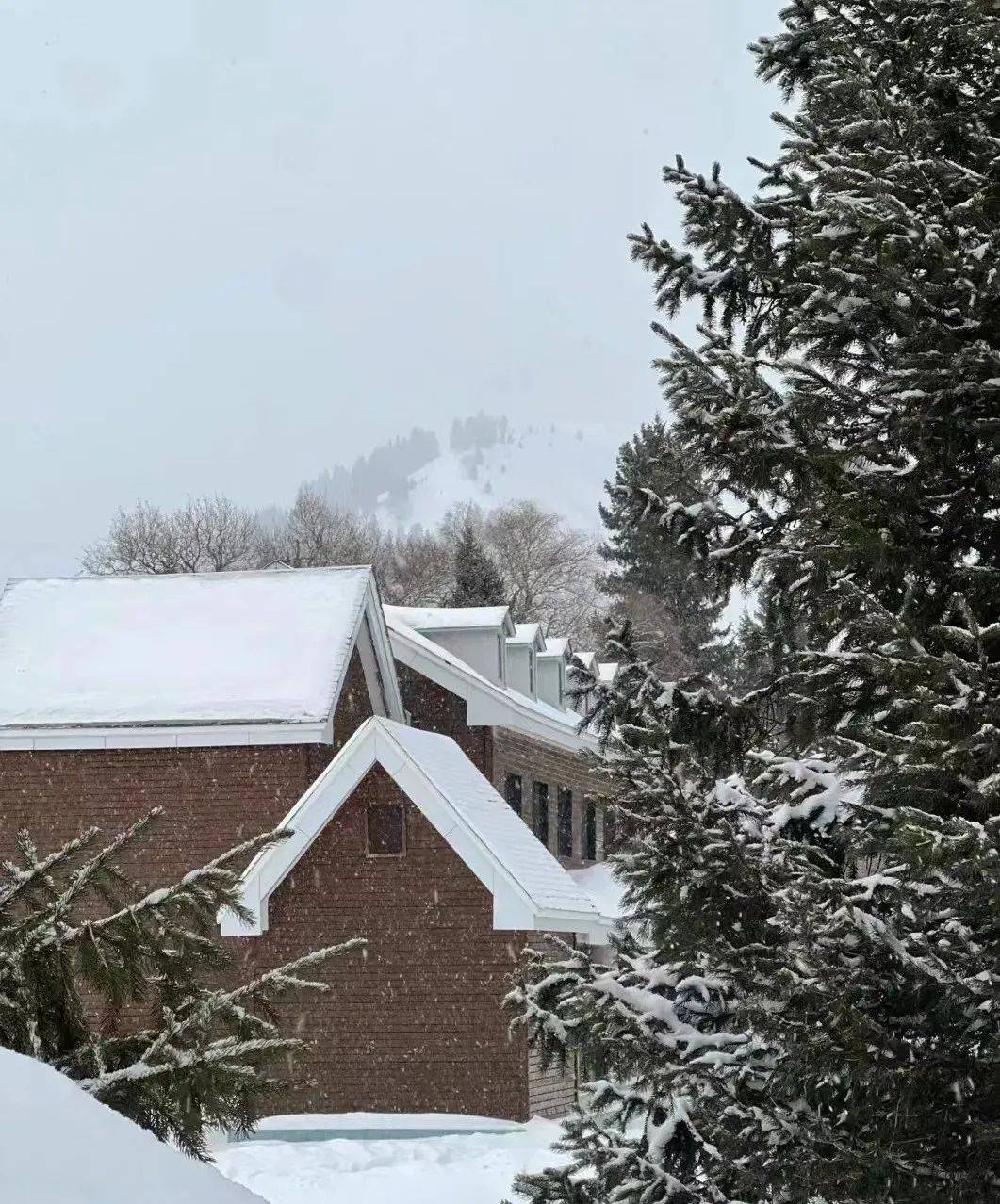 琼库什台几月份去比较好,冬天琼库什台有什么好玩的,琼库什台冬季自助