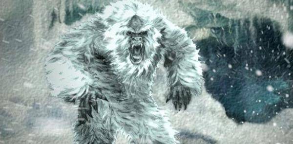 它们怎么生存?_喜马拉雅山脉_故事_牦牛