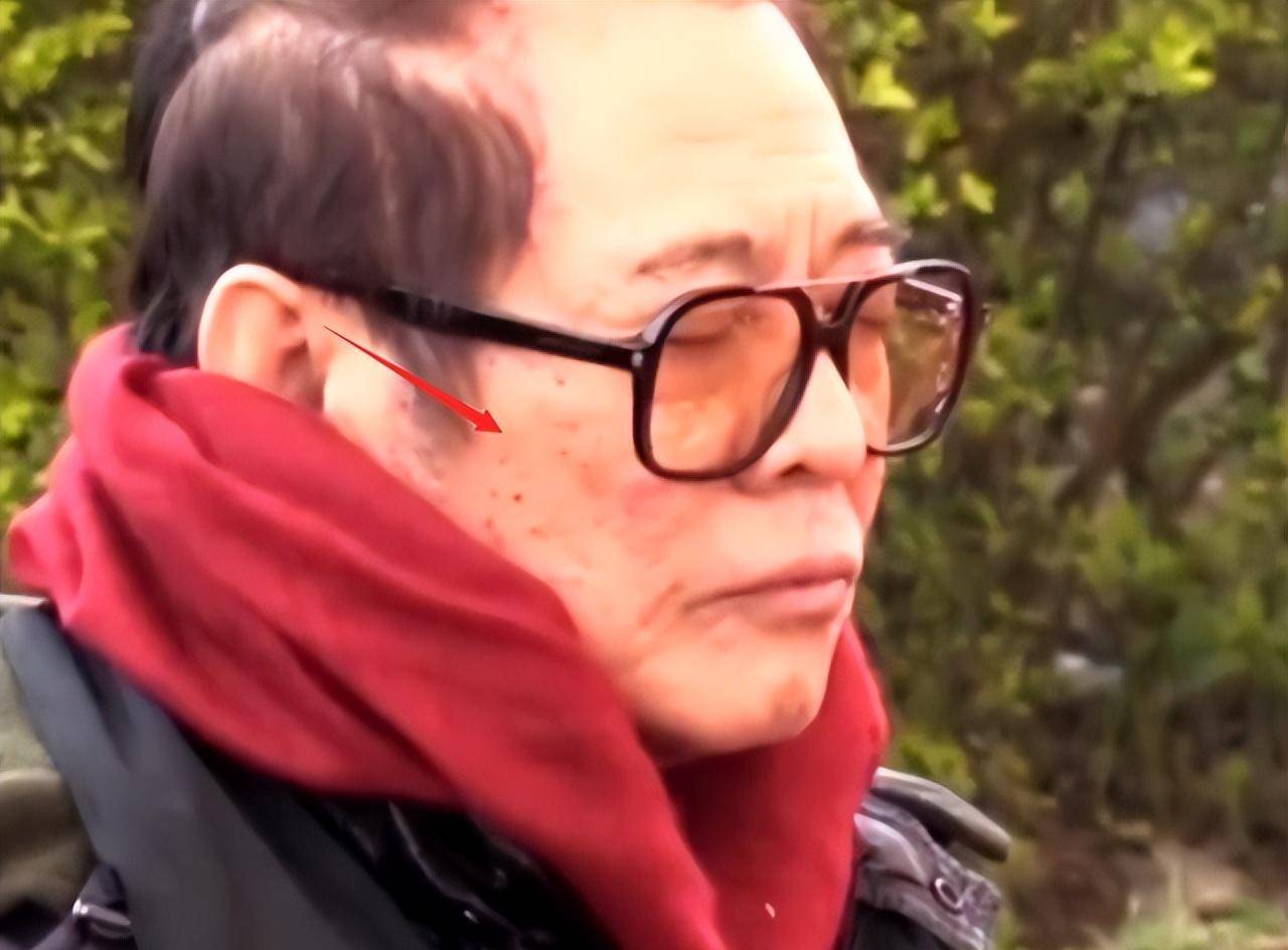 李连杰近照引热议,利智也老了,难以认出_变化_岁月_武术