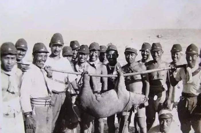 11岁少女的南京记忆一家七口人相继遇难,永远忘不了