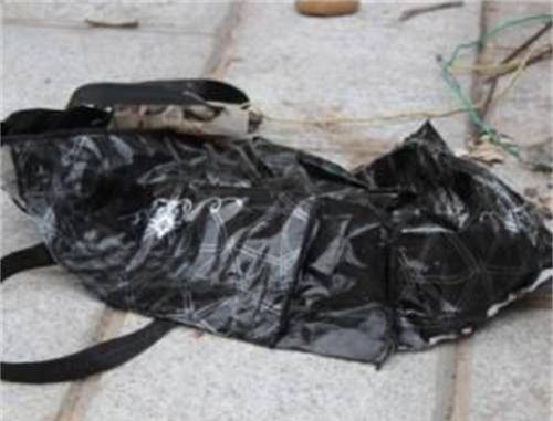 这是谁的尸块?又是谁抛在了这个垃圾桶?